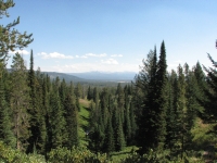 Looking out from our campsite